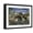 Black Frame, variant on Art.com Stegosaurus Defending Himself from T-Rex and Some Utahraptors Art Print by Stocktrek Images, 16" x 12"