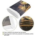 thumbnail image 4 of Caribbean Ship Artwork Warm Print Pet Blanket Bed Cover For Dogs Blankets, 4 of 7