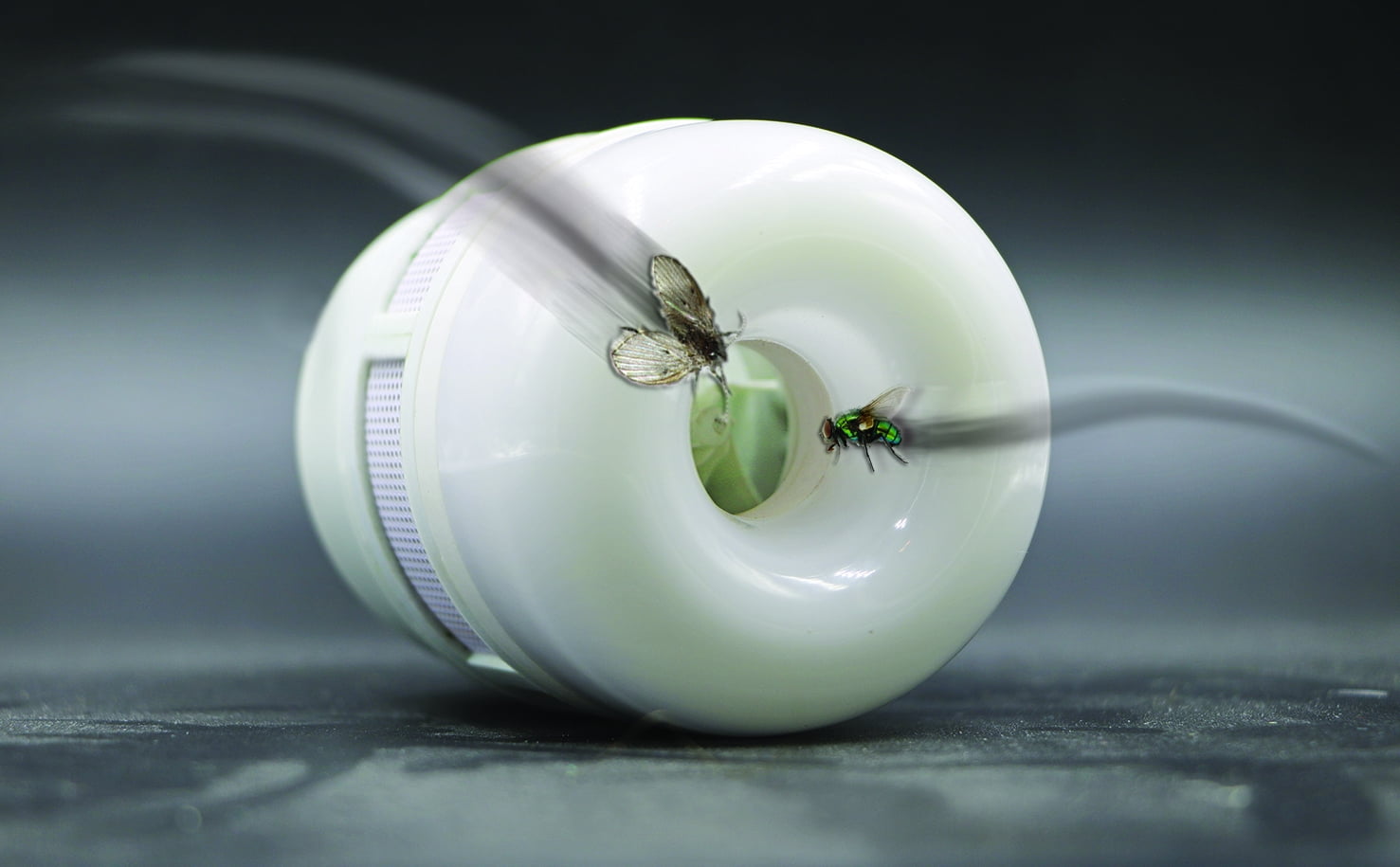 CLEANRTH FLYLIGHT™ | 75-watt DAYLIGHT LED Light Bulb that Vacuums & Traps Flying Bugs to Create Insect Fly Control