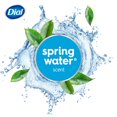 thumbnail image 4 of Dial Spring Water Refreshing Body Wash, 946ml, Dermatologist Tested, Free from Silicones, Parabens, Phthalates, SLS, 4 of 9