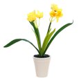 thumbnail image 1 of Narciso de dos cabezas, bonsái pequeño, adornos creativos, decoraciones de flores de simulación, macetas de plantas verdes de flores artificiales, 1 of 5