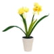 thumbnail image 1 of Narciso de dos cabezas, bonsái pequeño, adornos creativos, decoraciones de flores de simulación, macetas de plantas verdes de flores artificiales, 1 of 5
