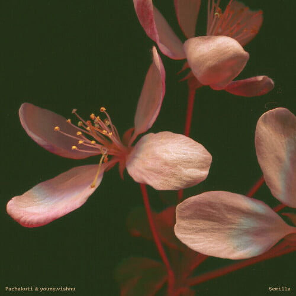 Onra - Chinoiseries Pt. 2 - Music & Performance - Vinyl - Walmart.com