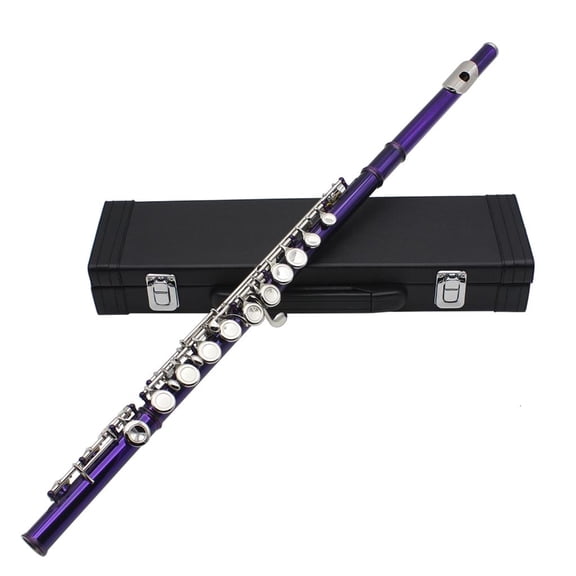 SDFGTstore Professional Horizontal Flute With Bag Cleaning Cloth Stick Woodwind Instrument