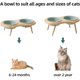 thumbnail image 4 of Ceramics Cat Bowl Adjustable Cat Food Bowl Kitty Bowl Raised Tilted Cat Water Bowl Pet Supplies Slanted Elevated Cat Bowl (600ml, Light Green), 4 of 4