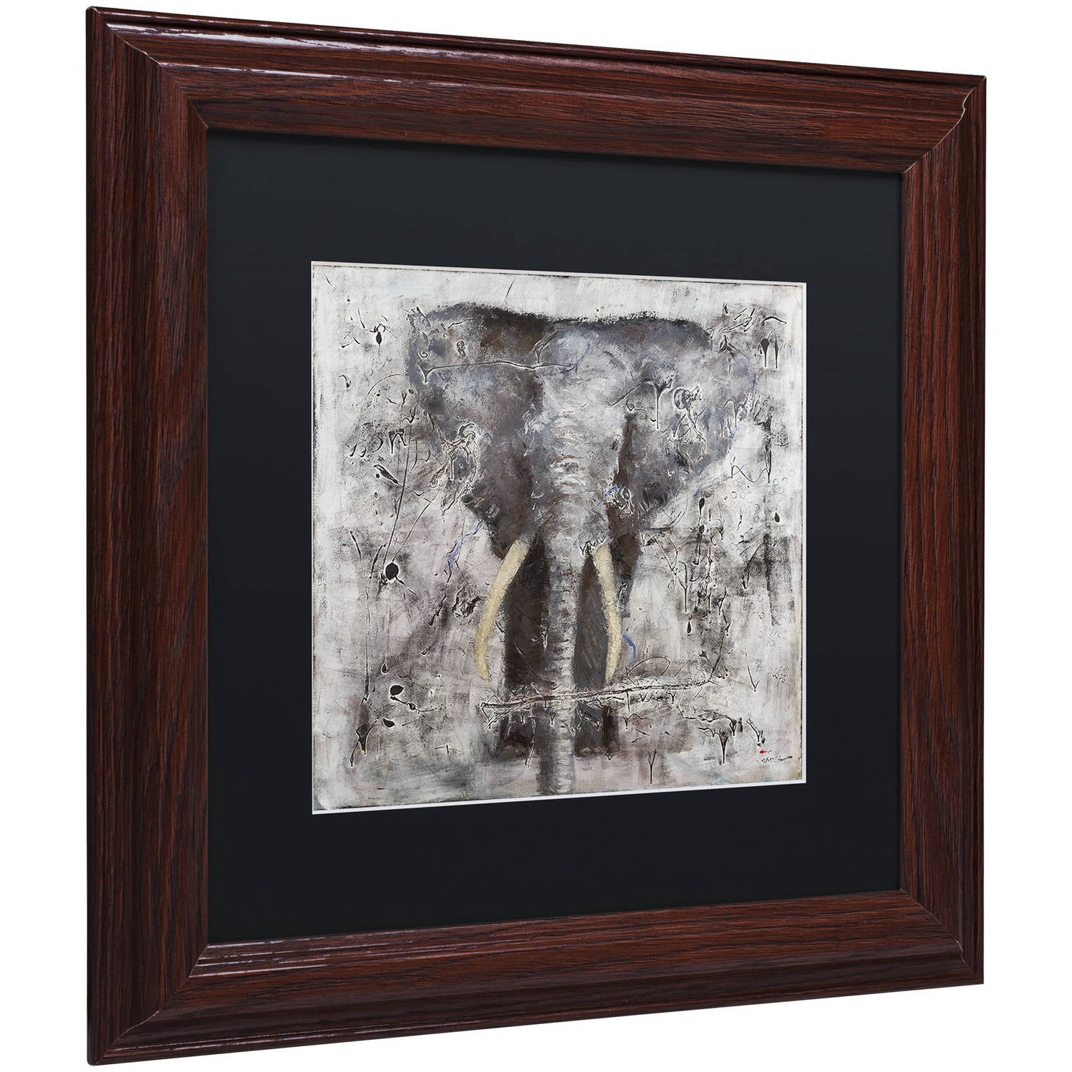 Trademark Fine Art "Wild Life" Canvas Art by Joarez, Black Matte, Wood Frame