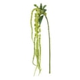 thumbnail image 2 of (2 pack) 26-inch Artificial Light Green Tassel Flower Long Stem, for Indoor Use, by Mainstays, 2 of 9