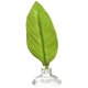 thumbnail image 1 of Greeniant 1 hamaca de cama de descanso de peces artificiales de simulación impermeable de una sola capa Betta ventosa juego de peces Relax hamaca de hojas decoración del acuario Greeniant  JJ22181-00, 1 of 6