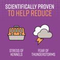thumbnail image 3 of SENTRY Calming Chews for Dogs, 60 Count, 3 of 9