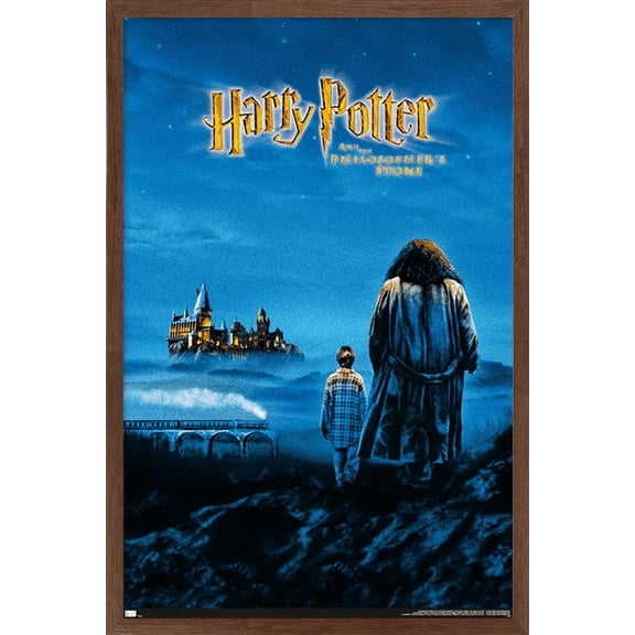 Harry Potter and the Philosopher's Stone - Key Art Wall Poster, 22.375" x 34", Framed