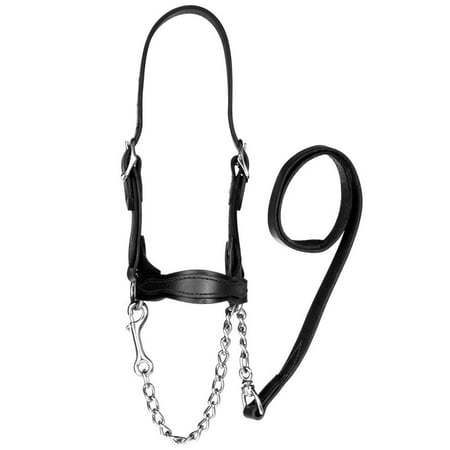 Sullivan Supply South Sullivan Supply Classic Leather Flat Nose Scalloped Show Halter Medium Black