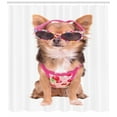thumbnail image 3 of Ambesonne Chihuahua Shower Curtain, Puppy with Summer Clothes, 69"Wx84"L, Multicolor, 3 of 3