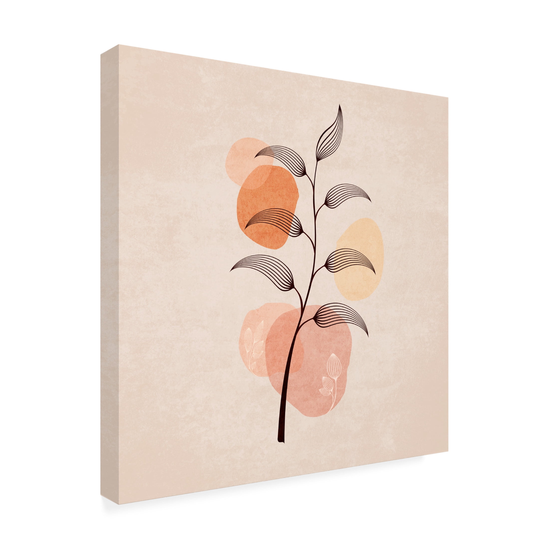 Trademark Fine Art Emel Tunaboylu Zarif Cicekler 02 Canvas Wall Art