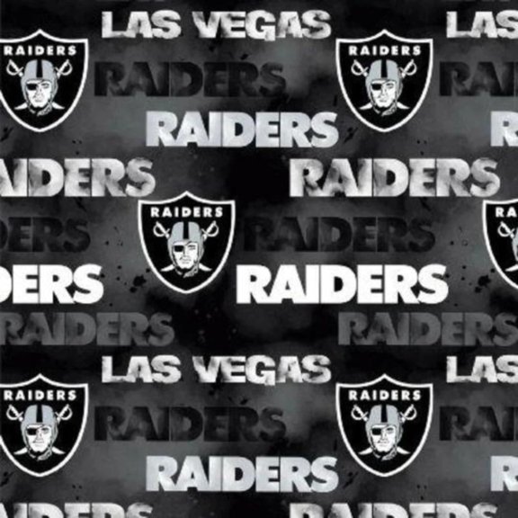 Handmade Valance or Curtain Panel L.V. Raiders