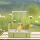 thumbnail image 3 of Ducha para Loros con Circulación Automática, Ducha para Pájaros , Bañera para Pájaros, Ducha Grande, Artículos de Limpieza para Pájaros, Color Rosa., 3 of 5