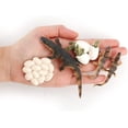 thumbnail image 3 of Crocodile Growing Toy Set, Simulation Animals Egg To Animal Figures Toy Crocodile Growth Cycle Figures Model Kids Early Learning Toys, 3 of 5