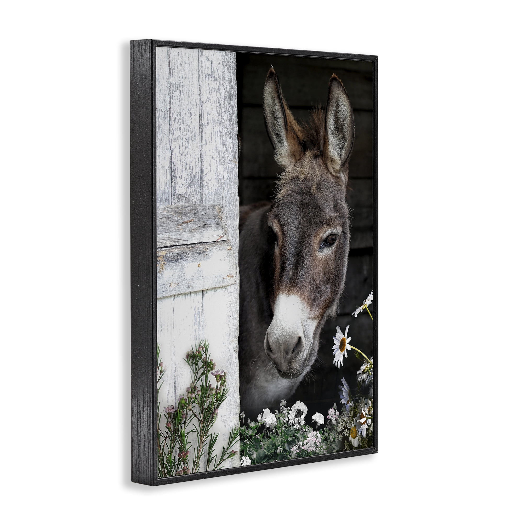Stupell Industries Gentle Donkey Peering from Barn Black Framed Giclee Art, design by CAD Designs