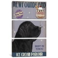 thumbnail image 4 of iCanvas  "N-foundland Ice Cream" by Fab Funky Canvas Print, 4 of 5