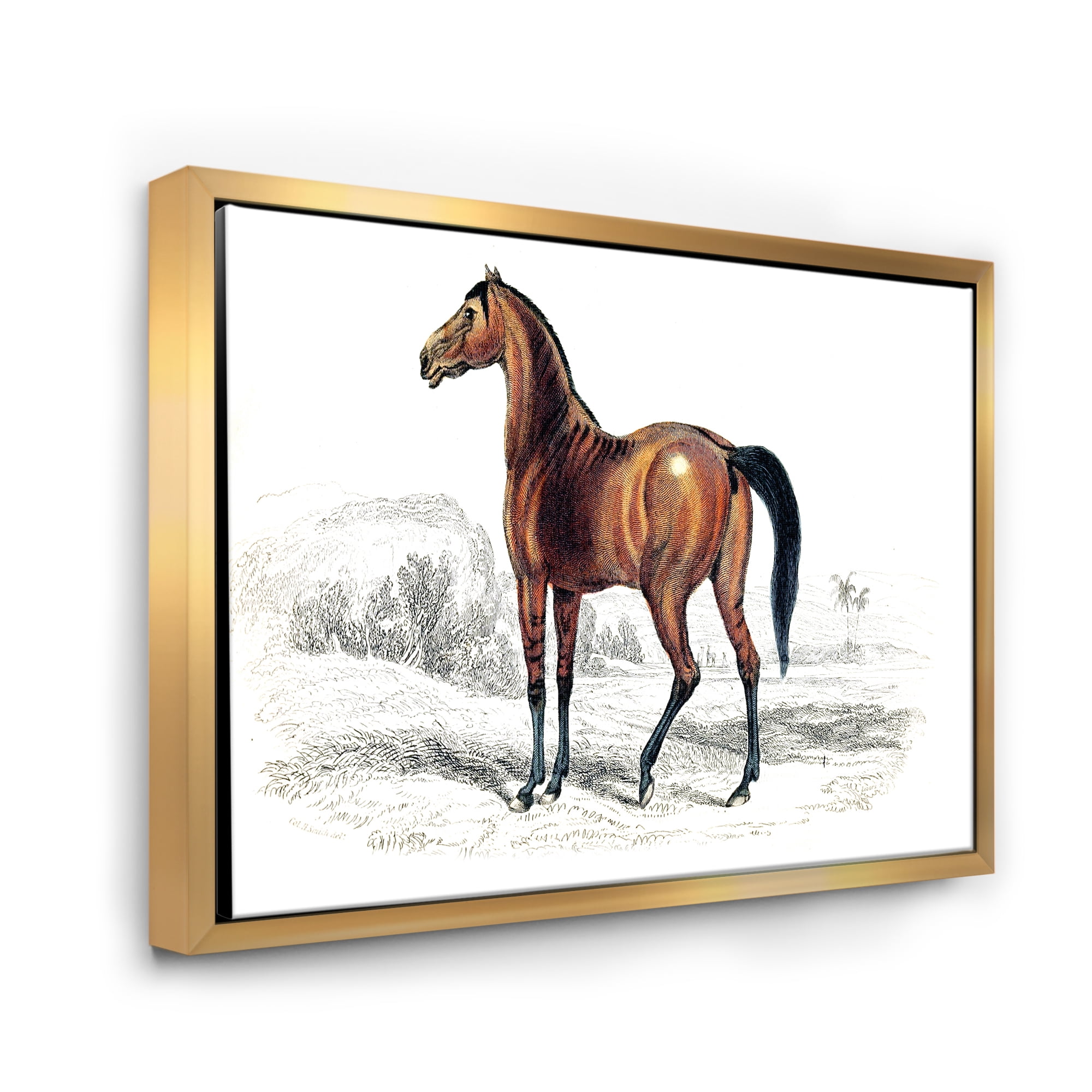 Designart 'Ancient Horse' Farmhouse Framed Canvas Wall Art Print