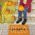 thumbnail image 4 of Hello Pumpkin Door Mat, Orange Fall Outdoor Welcome Mat, Fall Front Door Mat Decor, Autumn Thanksgiving Doormat Outdoor Rug Indoor, 17" x 30", 4 of 6