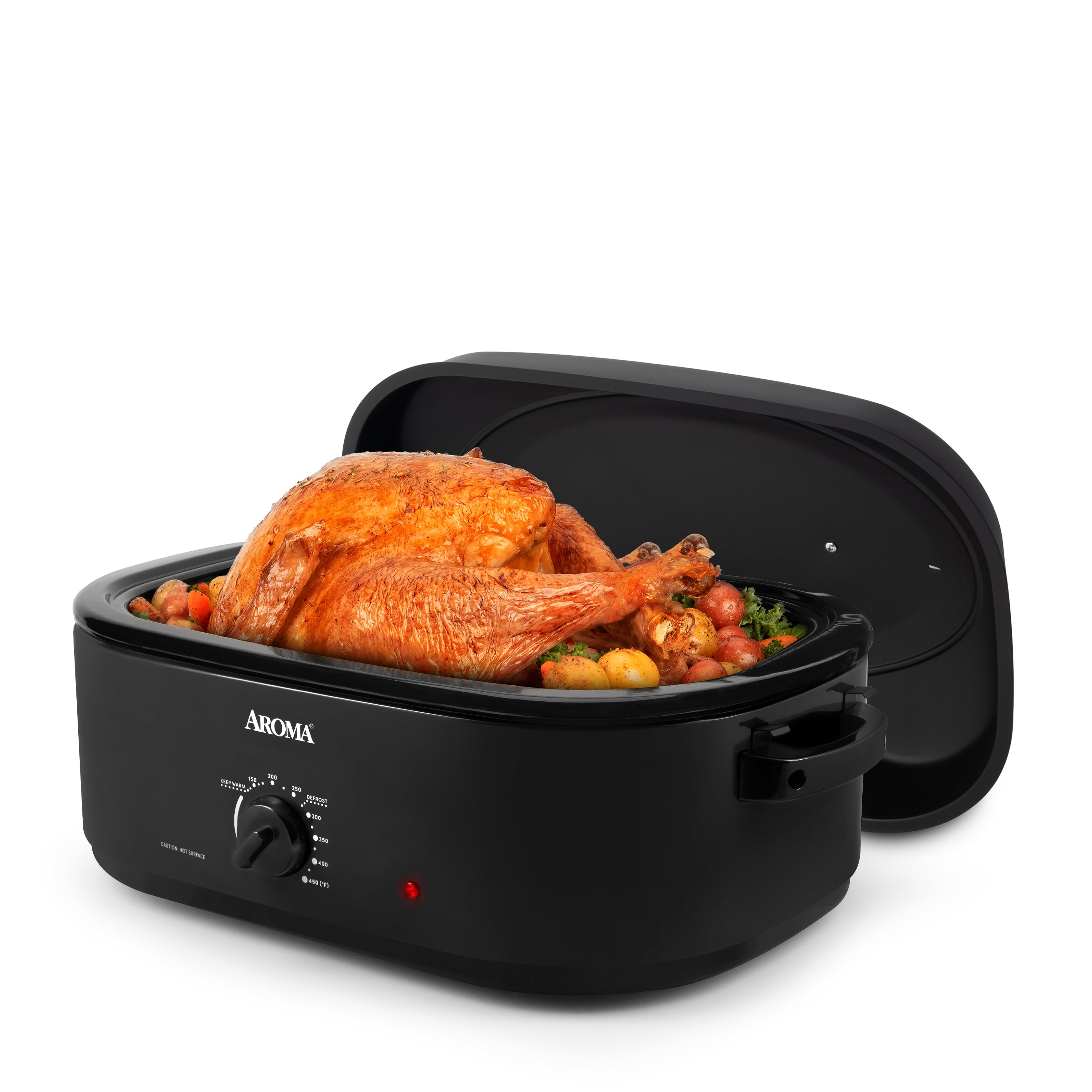 Roaster, electric 18-22 qt — American Rent All