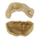 thumbnail image 5 of Cueva de Escondite de Peces Material de Resina Decoración de Pecera Cueva de Reptil Cueva de Escondite de Roca Pecera Pequeña Decoración de Escondite para Cíclidos ANGGREK  Otros, 5 of 8