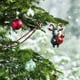 thumbnail image 1 of Oveja Linda de Navidad 2024 Como Decoración Familiar Navideña, 1 of 3