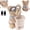 Bear, variant on Cute Bear Tissue Holder and Trash Can, Soft Plush Car Tissue Box, 2 in 1 Automotive Storage Box, Cartoon Garbage Can, Multifunctional Animal Paper Box for Car and Home