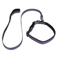 thumbnail image 3 of Conjunto de collar para mascotas Correa de perro ajustable reflectante Seguridad cómoda Suministros para mascotas Conjunto de collar y correa de perro reflectante Morado ANGGREK Otros, 3 of 8