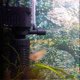 thumbnail image 3 of 2025 Latest Model in 1 3W Mini Aquarium Fish Tank Filter Water Purifier, 3 of 5