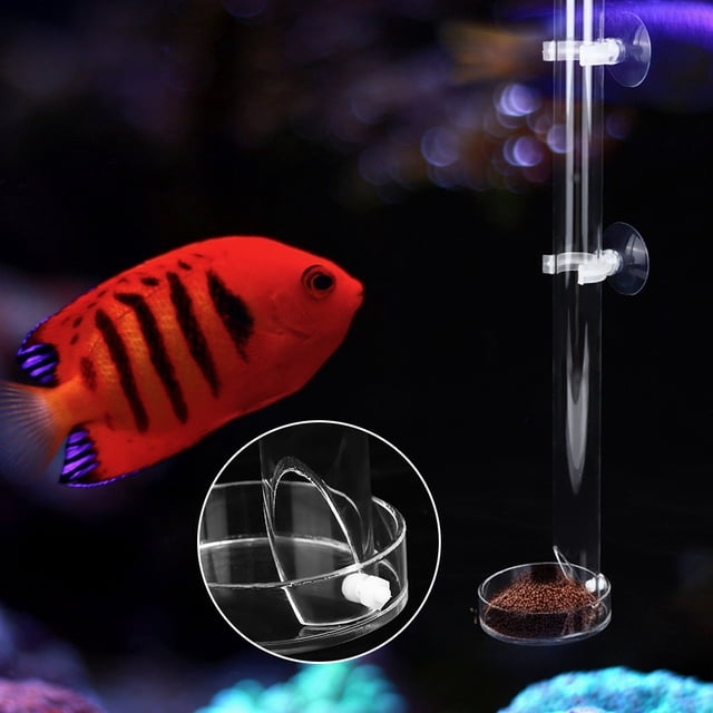 Fish Feeder, With 2 Suction Cups Aquarium Feeder, With Tray For Tropical Fish For Shrimp