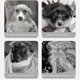 thumbnail image 2 of QuickDrying Dog Bathrobe, Super Absorbent Towel, Adjustable Tie (Black, S), 2 of 4
