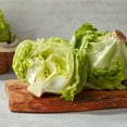 thumbnail image 2 of Marketside Organic Fresh Iceberg Lettuce, Each, 2 of 6