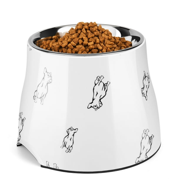 Stainless Steel Elevated Dog Bowl Feeder up to 20 Fl Oz Raised Cat