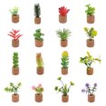 thumbnail image 1 of Guardoinrt Plant Fridge Magnets Fridge Magn-et Decoration Refrigerator Sticker Potted Succulent Plants Magn-et Stickers Cute 16PCS, 1 of 6