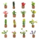thumbnail image 1 of Eigraketly Imanes de nevera de plantas, decoración, pegatina para refrigerador, imán de nevera versátil Artesanía 16 Uds., 1 of 6