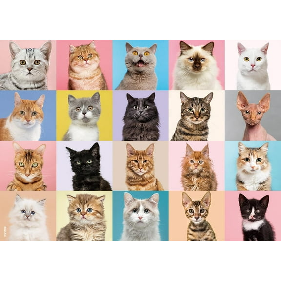 Jigsaw Puzzles for Adults 500 Pieces Precise Interlocking Thick Sturdy Cardboard Cat Animals 500 Piece Puzzle Family Game Age 14