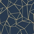 thumbnail image 3 of Gango Home Decor Contemporary Succulent Pattern Navy & Night Sky Navy & Gold Pattern; Two 12x12in Art Prints in White Frames, 3 of 6