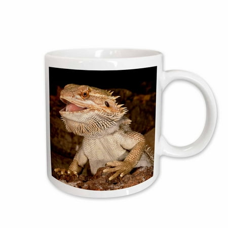 

Bearded Dragon lizard Native to Australia - NA02 DNO0680 - David Northcott 11oz Mug mug-84029-1