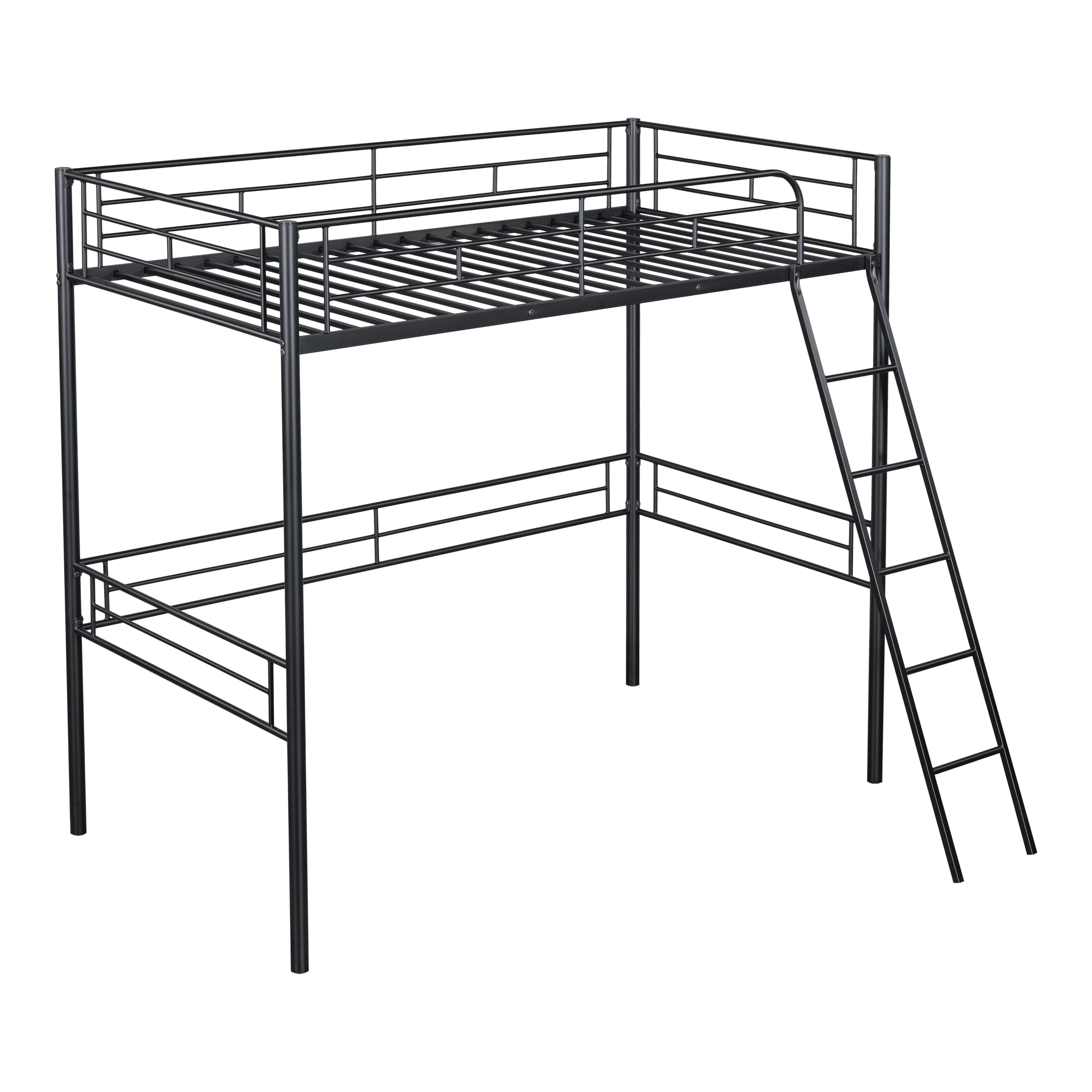Furniture of America Amelia Kids Twin Loft Bed, Black
