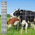 thumbnail image 2 of Memoryfield 4ft x 164ft Galvanized Livestock Fence, Wire Cattle Farm Fence for Cattle, Goat Yard, 2 of 8