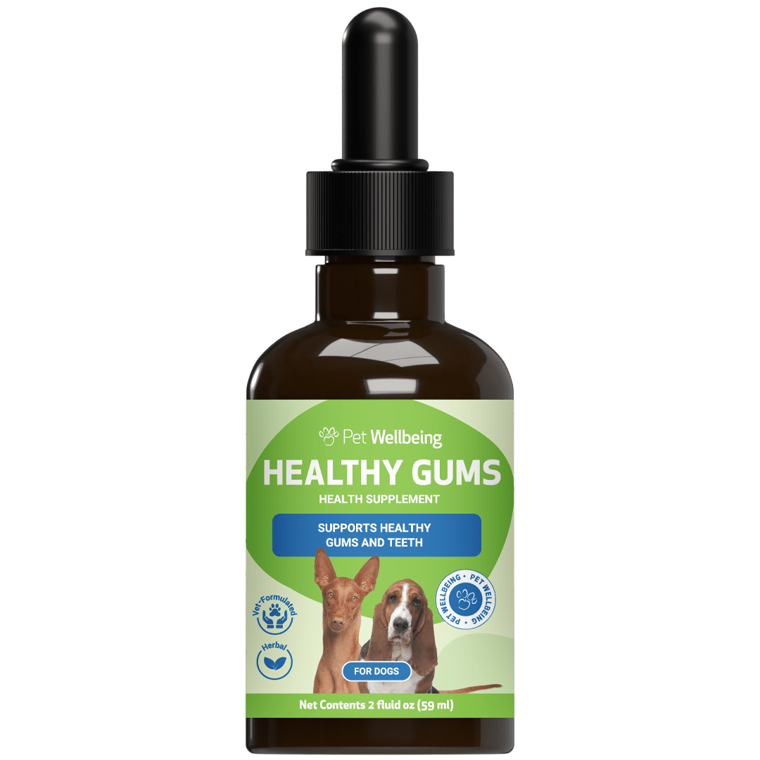 Pet Wellbeing Natural Periodontal Health Support for Dogs - Healthy Gums 2oz (59ml)
