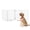 White, variant on 24″ Tall Freestanding Wood Dog Gate with Door for Pets Dog Fence 4-Panel White
