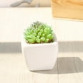 thumbnail image 4 of Ludlz Succulents Plants Artificial, Mini Artificial Succulents Desk Plant Faux Succulents in Pots Fake Succulents Plant Decor Plastic not Easy to Break, 4 of 8
