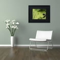 thumbnail image 3 of Trademark Fine Art "Life in the Marsh" Canvas Art by Kurt Shaffer, Black Matte, Black Frame, 3 of 4