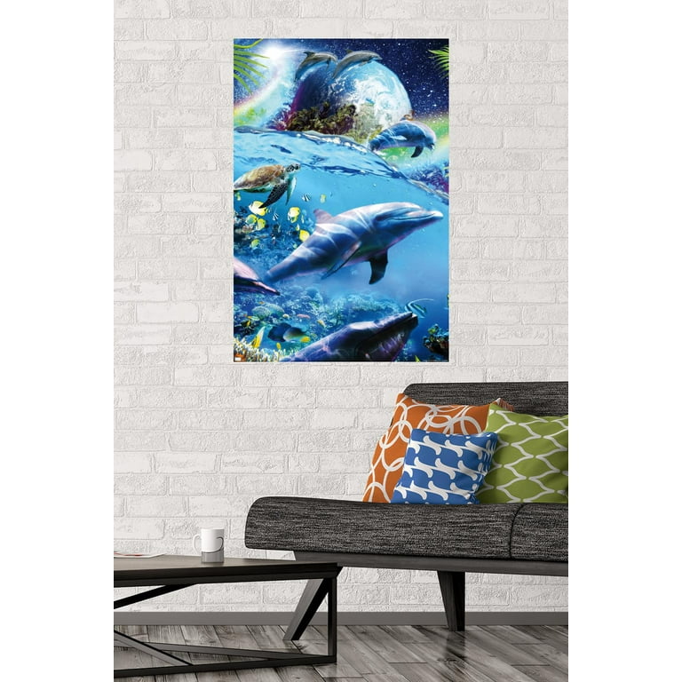 James Booker - Space Dolphins Wall Poster, 22.375