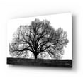 thumbnail image 2 of Epic Art 'The Tree' by John Jones, Acrylic Glass Wall Art, 24"x16", 2 of 8