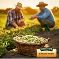 thumbnail image 2 of Sammys Naturals Raw Pumpkin Seeds, Shelled Pepitas, Natural (8oz - 0.5 lb), 2 of 8