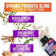 Probiotics for Women - Probiotic Blend 90 Billion CFU Per Serving - Women's Probiotic for Targeted Vaginal & Digestive Health Support - 16 Strains, Cranberry, Prebiotics - Bottled USA - 120 Capsules