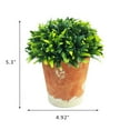 thumbnail image 3 of K-Cliffs Home Decor Mini 6.3 inches Artificial Grass Plant Potted in Whitewashed Paper Pulp Pot Green;Dimensions: 5.7L x 5.7W x 6.3H inches, 3 of 3
